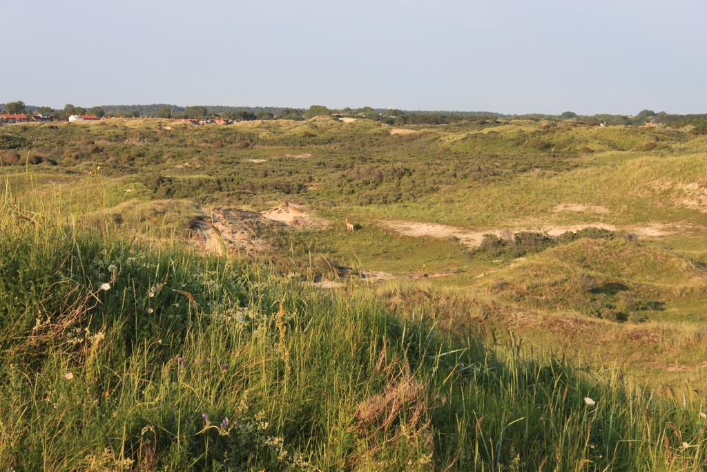 Posthuisje Zandvoort Cameră foto